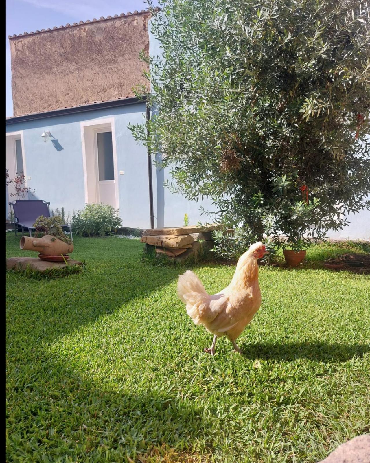 B&B Il Borgo Delle Emozioni Dolianova Buitenkant foto